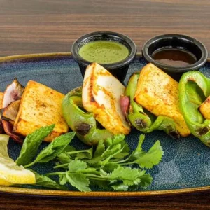 PANEER TIKKA